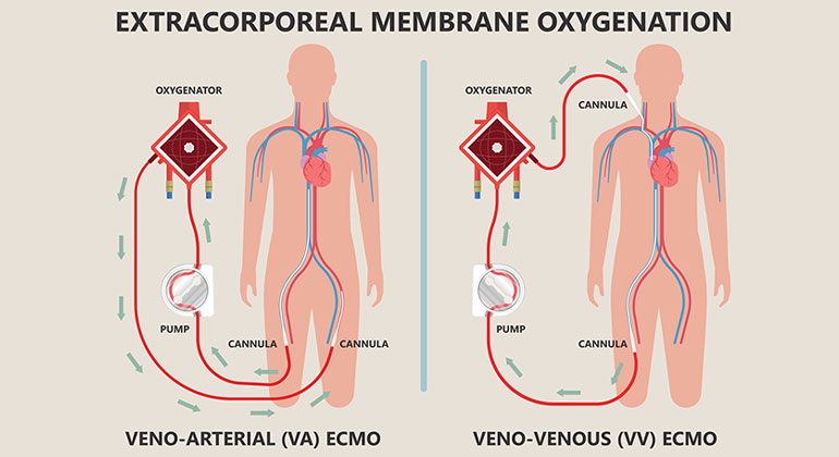 image of heart function